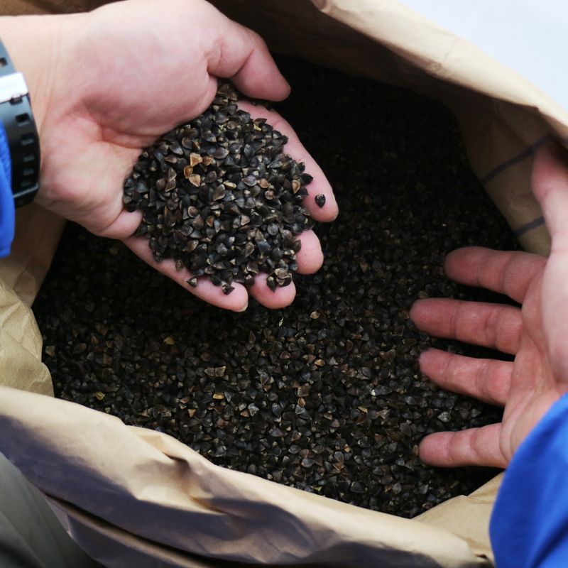 玄ソバ／奈川そば