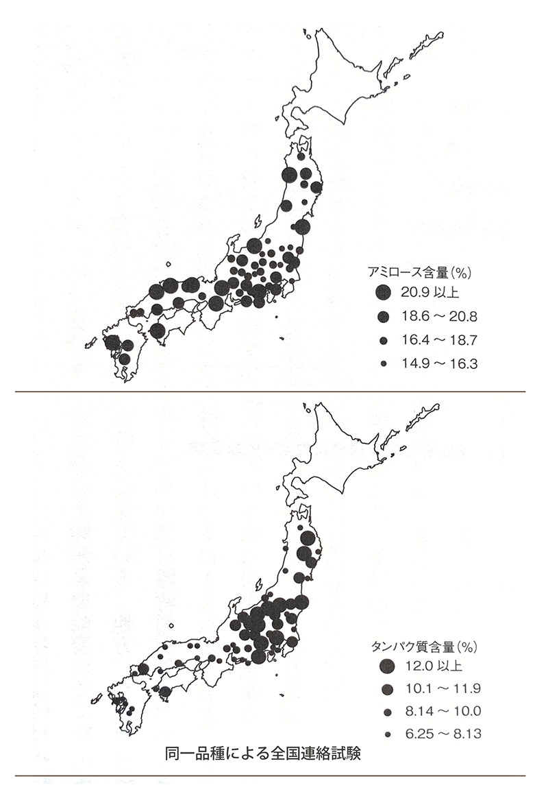 タンパク質分布図