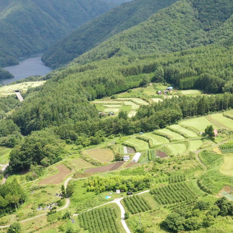 奈川の風景_ドローン空撮